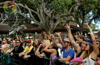Marley's Mellow Mood Stage Crowd