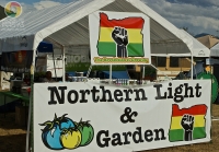 Northern Light & Garden